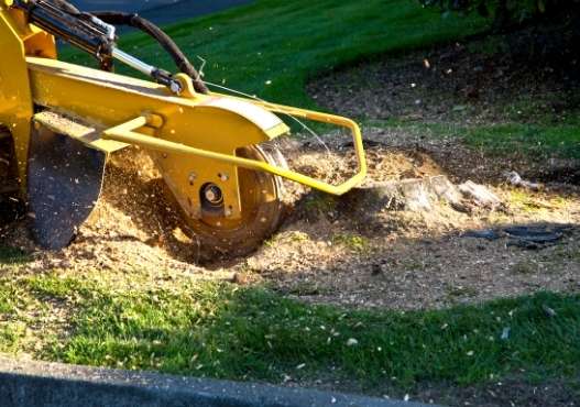 stump grinding midland