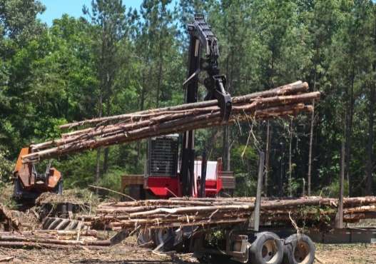 tree lot clearing midland ontario